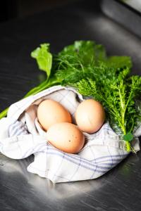 Agriturismo Casa Marmida img54