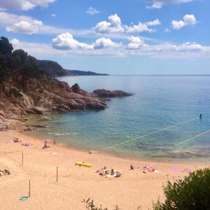 Wonderful Loft in Cala Salionç