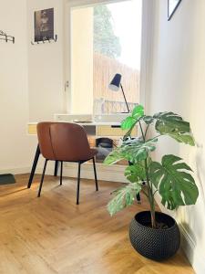 Amazing flat with garden, Vinohrady near center