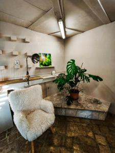 Herbal room with a terrace on a distillation farm