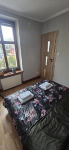 Apartament L D