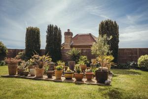 Hikers Retreat - peaceful South Downs escape