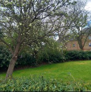 Apartment Sleeps 2 with Parking & Garden