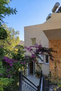 Medusa Panoramic View in Georgioupolis