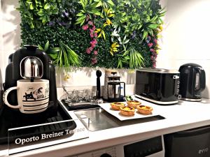Oporto Breiner Terrace Apartment