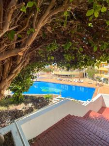 1 Bedroom Apartment with Terrace, Pools & Walking Distance to Beach