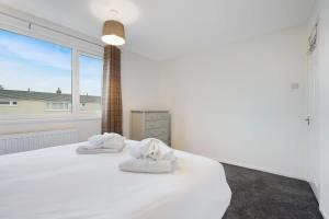 NEW! 3BR in Traynor Square