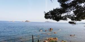 Appartamenti Da Vincenza img8