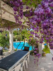 Ibis - villa avec piscine, jardin et parking