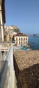 Nest Scilla