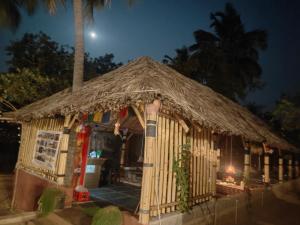 Crazzy Panda Hampi