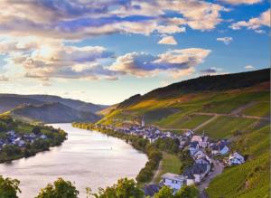 Ferienwohnung 1 Zimmer und Küche in Zell-Mosel