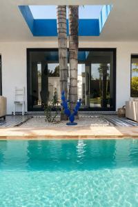 Villa Louisa private estate, swimming pool, and privacy