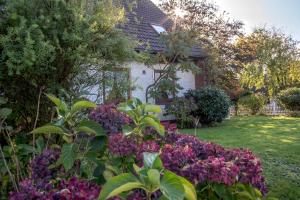 Haus Ingeborg Wohnung 1 EG