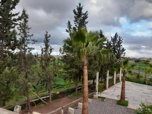 Riad NACIRIA