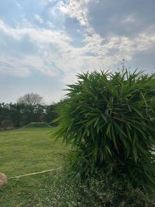 Chaudhari farms & Agrotourism