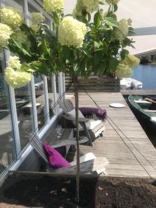 Super wifi 2 bedroom house on the lake with boat