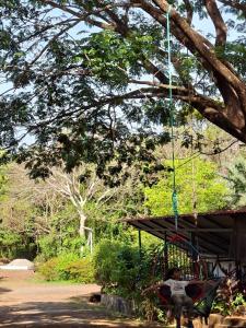 APKA ECOvillage