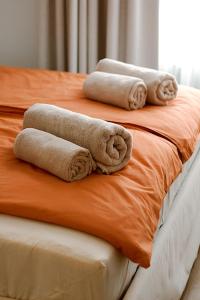 Not A Hotel Cesis