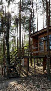 Domek na Drzewie