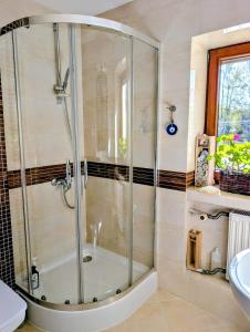 Ciche apartamenty w pięknym ogrodzie