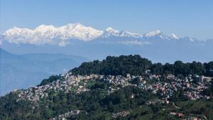 The Boho Darjeeling