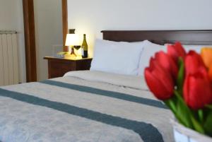 Agriturismo il Pettirosso