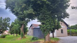 Apartmán u kolejí D