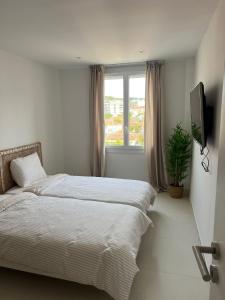 Cannes Apartment
