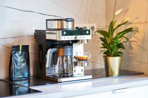 Luxury house with garden in the center of Roudnice nad Labem