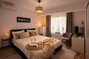 Vila luminoasa cu curte privată