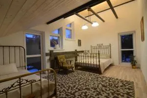 Vilnius Luxury Apartment 2 - Vilnius