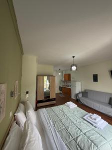 Down Town Apartments