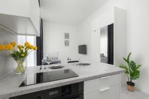 Nowoczesne Apartamenty Typu Studio z Parkingiem by Noclegi Renters