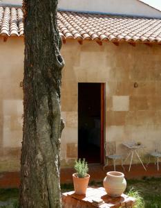 Villa Magnolia Arles Garden