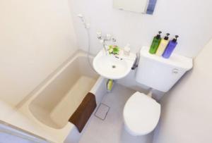 SunshinePotatoサンシャインポテト