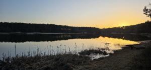 Apartamenty przy łowisku Niesiołowice,jezioro Czarne