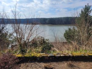 Apartamenty przy łowisku Niesiołowice,jezioro Czarne