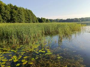 Apartamenty LOS NOBLES w spokojnej okolicy w pobliżu jeziora