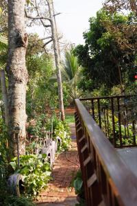 Khu Vườn Nhỏ-Le Petit Jardin Homestay BMT