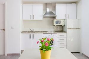 GuestReady - Estadio Cadiz