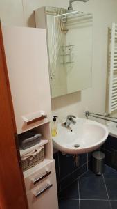 Apartment Roko