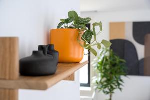 Brand new luxurious 2-Bedroom Duplex