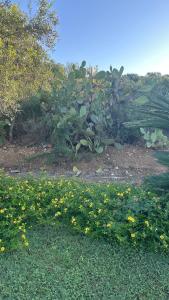 Vacanze in villa a Villasimius Sud Sardegna