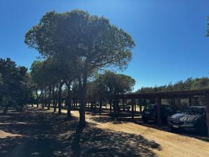 Vacanze in villa a Villasimius Sud Sardegna img51