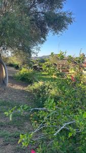 Vacanze in villa a Villasimius Sud Sardegna img45