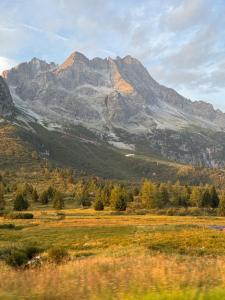 Casa Orso Elio - Si Mezzana Home