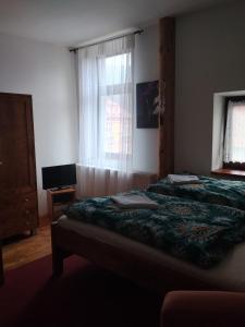 Penzion a restaurace Harmonie Horní Maršov