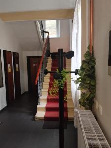 Penzion a restaurace Harmonie Horní Maršov