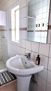 Chameleon Backpackers & Guesthouse
